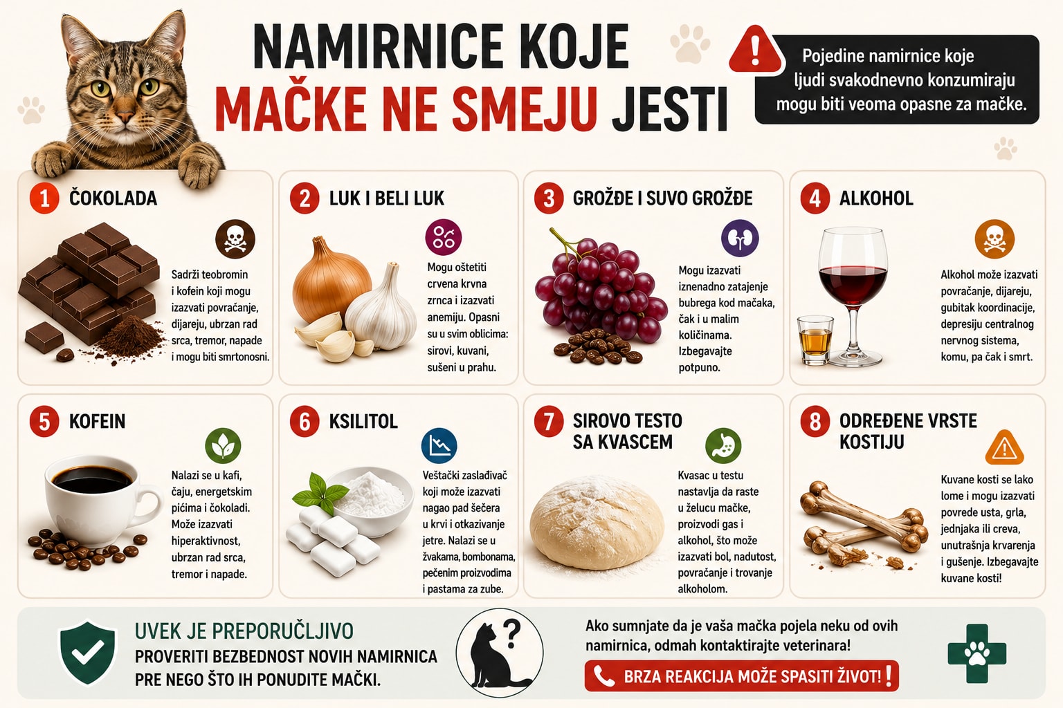 Infografika o tome šta mačke ne smeju da jedu