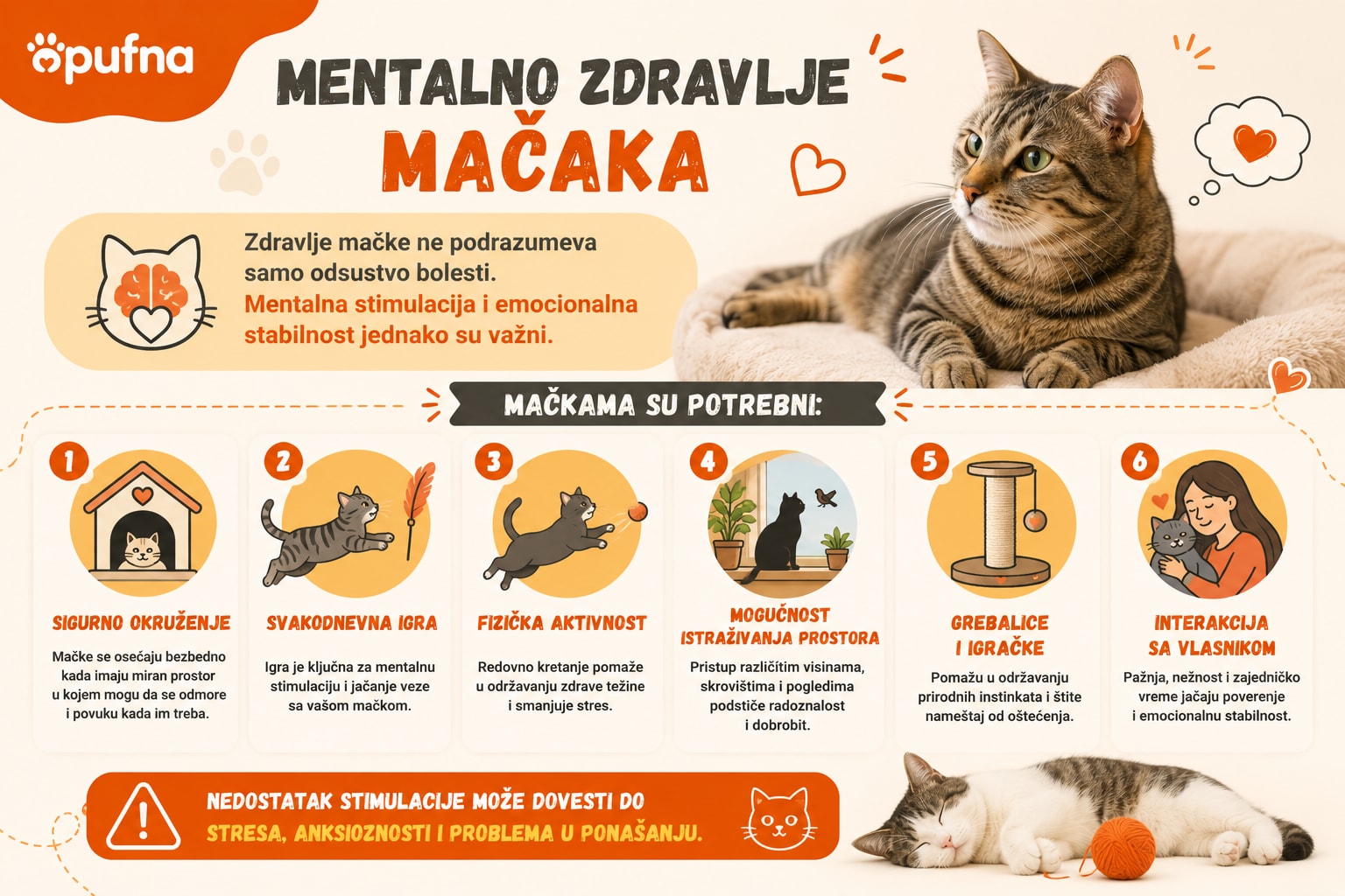 mentalno-zdravlje-macaka Infografika o mentalnom zdravlju mačke