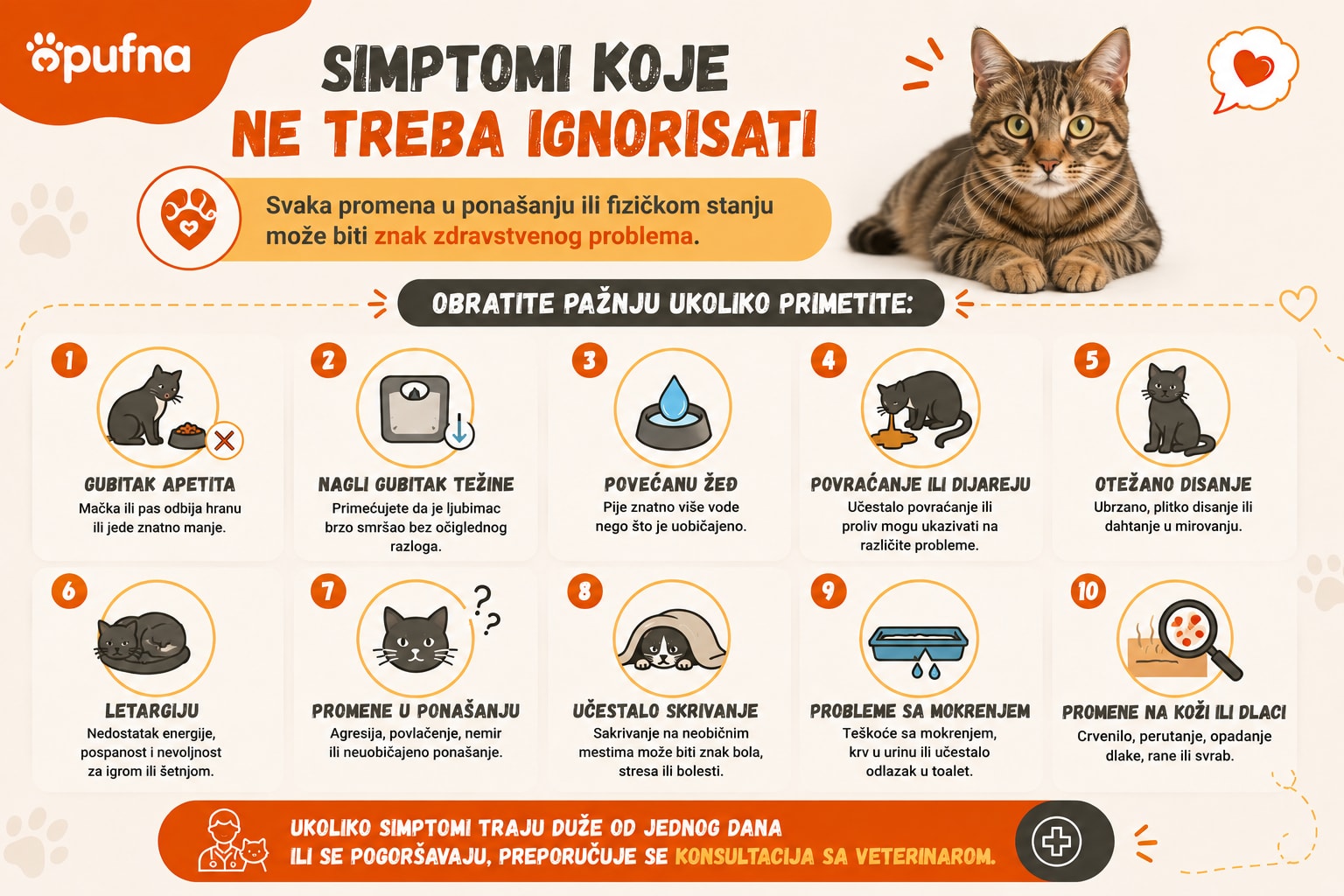 simptomi-koje-ne-treba-ignorisati Infogragika o simptomima koje ne treba ignorisati kod zdravlja mačaka
