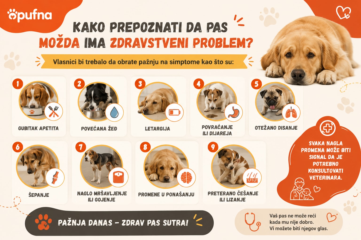 zdravstveni-problemi-kod-pasa Info grafika kako prepoznati zdravstveni problem kod psa